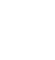 Icon visualizing safety data